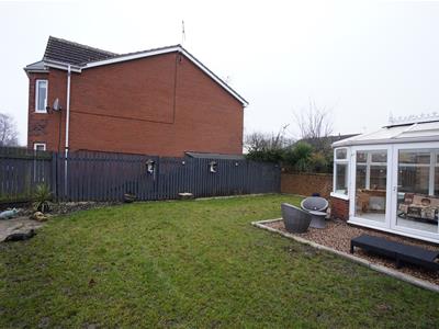 Picture 12